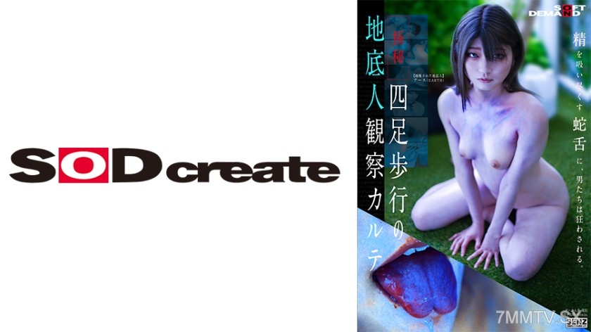 107SENN-048 Quadrupedal Subterranean Human Observation Chart Haruno Ando