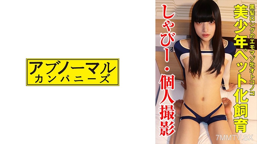 481SACZ-298 Shabi 4