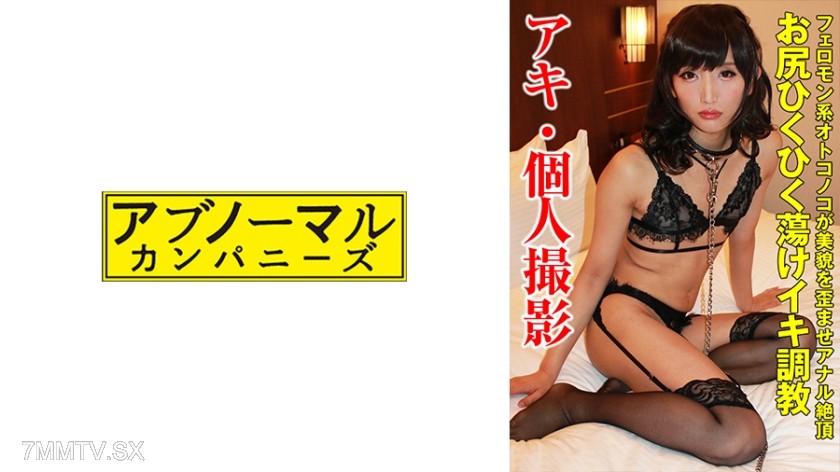 481SACZ-365 Aki 3