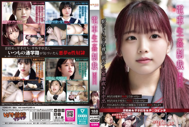 YDNS-011 Train Rape Sanction #011